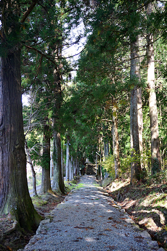 宇府山神社参道杉並木