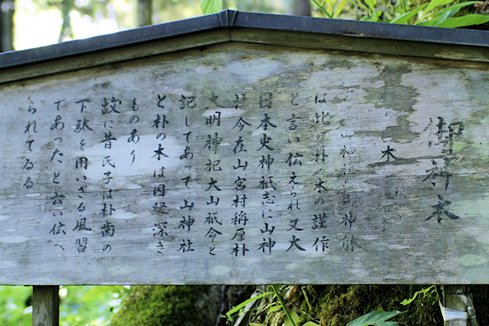 山神社の御神木　説明板