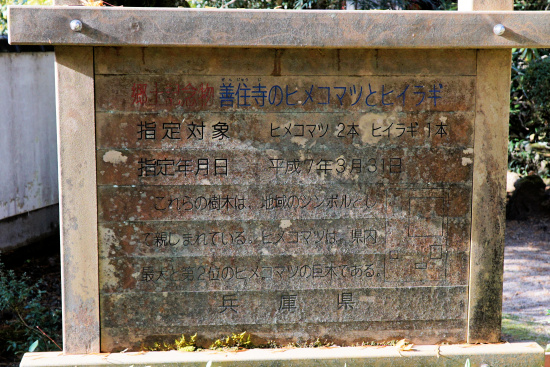 県郷土記念物の表示板