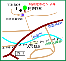 阿弥陀寺のケヤキ・マップ