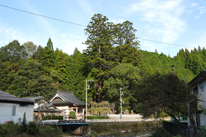 伊豆神社