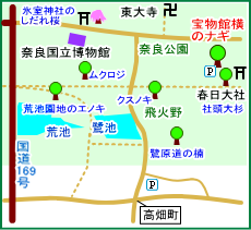春日大社宝物館横のナギ　マップ