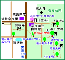 春日神社・社頭の大杉マップ
