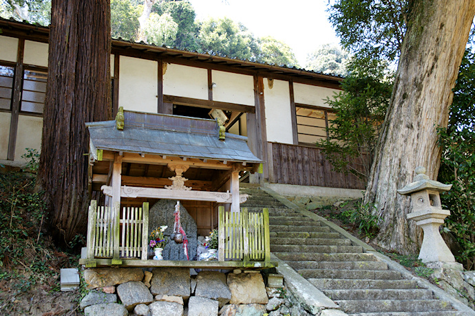 杵築神社のカヤ