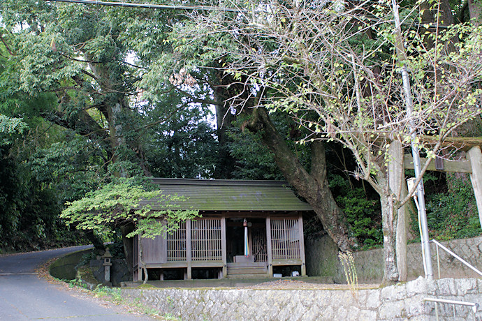 小長尾天神社の欅