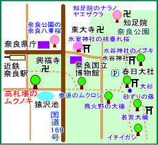 高札場のムクノキ　マップ