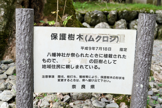 奈良県の保護樹木