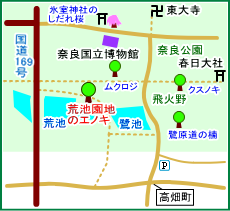 荒池園地のエノキ　マップ