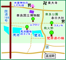 奈良公園鷺原道の楠マップ