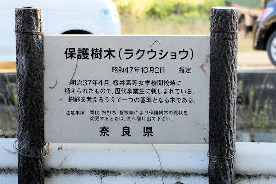 奈良県指定保護樹木