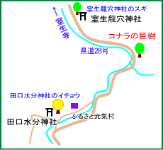 下田口・コナラの巨樹マップ