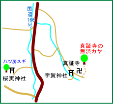 真証寺の無渋カヤ　マップ