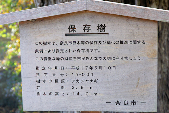 奈良市保存樹の駒札