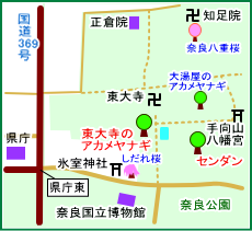 東大寺のアカメヤナギ　マップ