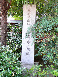 薬王寺の大樟石碑