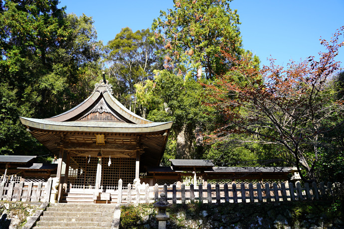 長子八幡神社のクスノキ