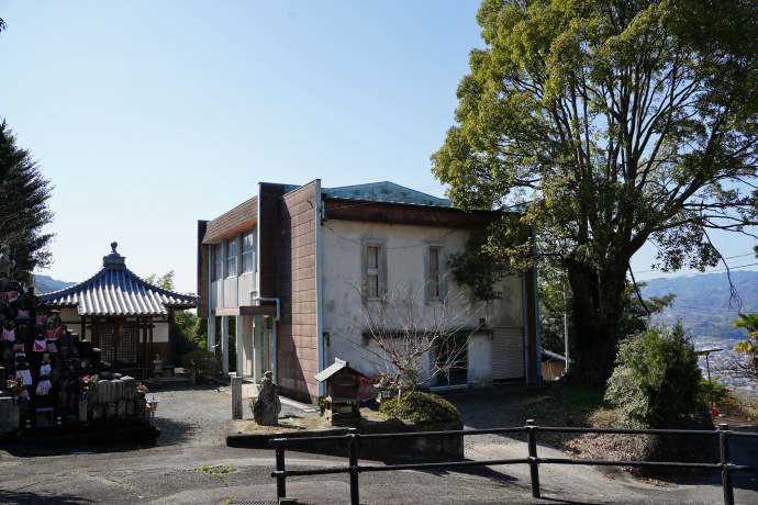 平沼田児童館のクスノキ