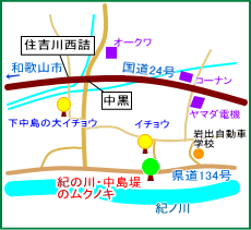 紀の川・中島堤のムクノキ　マップ