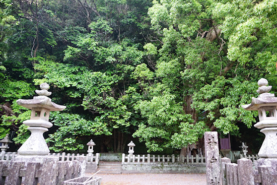 神戸神社社叢