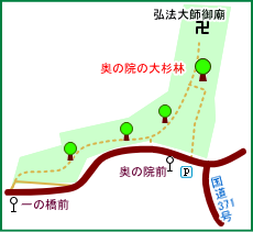 奥の院の大杉林マップ