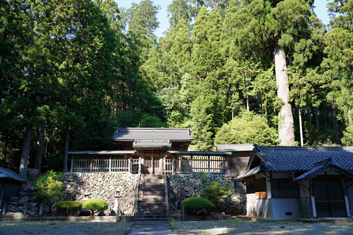 三大神社太郎杉