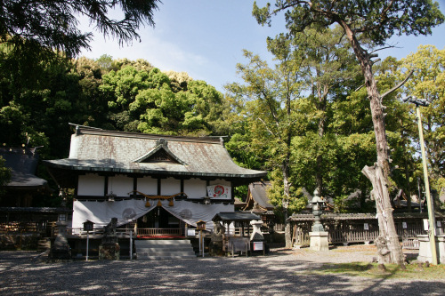闘鶏神社社殿