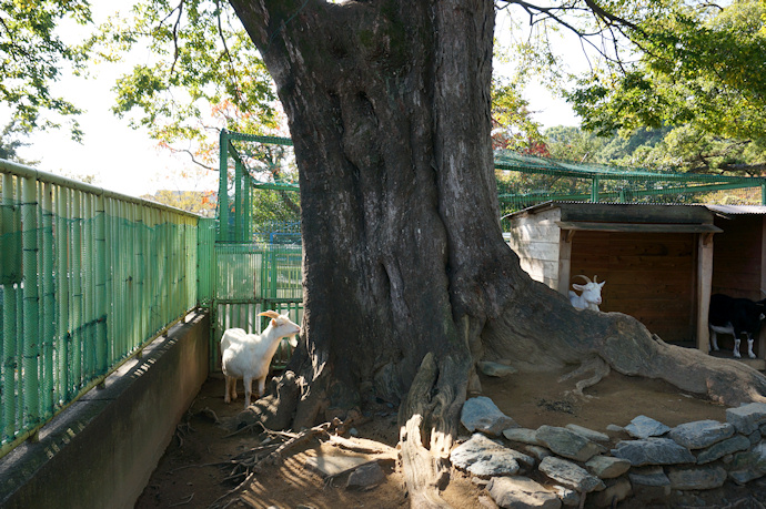 城 動物園 和歌山