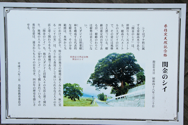 県天然記念物説明板