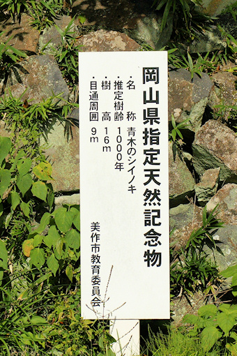県指定天然記念物　標識