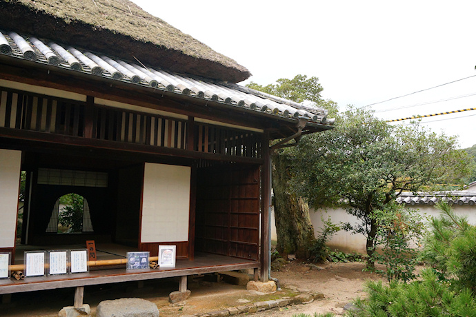 足守藩侍屋敷のスダジイ