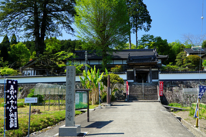 極楽寺のカヤと門前