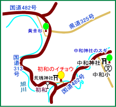 初和のイチョウ マップ