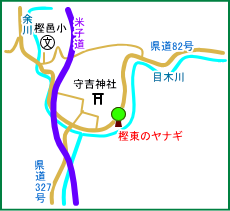 樫東のヤナギ　マップ