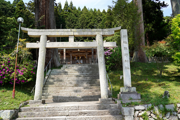 熊野神社の五本杉