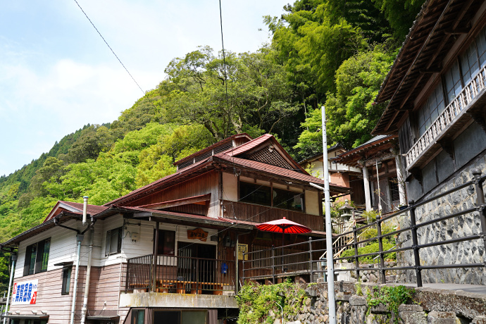 真賀温泉とカゴノキ