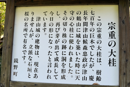 宗重の大桂説明板