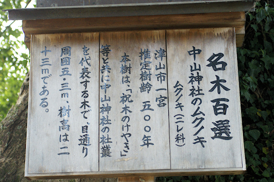 名木百選　中山神社のムクノキ説明板