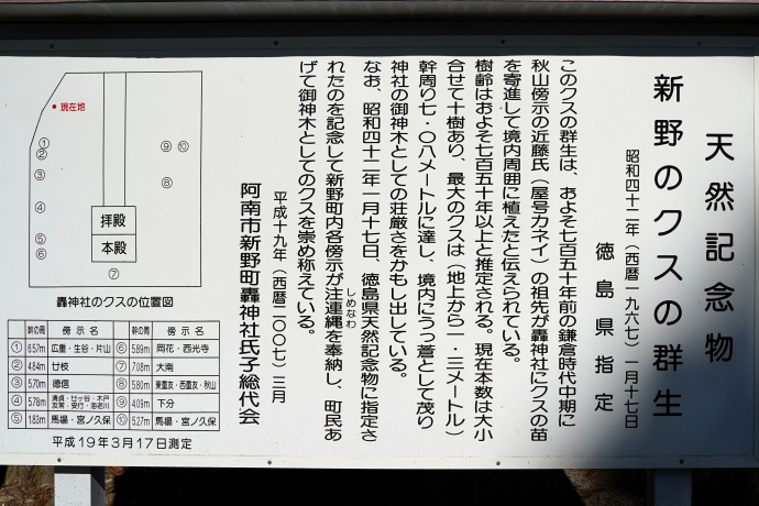 新野のクスの群生　説明板