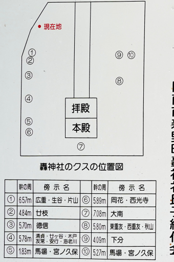 新野のクスの群生　説明板の位置図