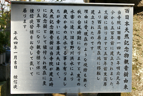 円通寺のモッコク説明板