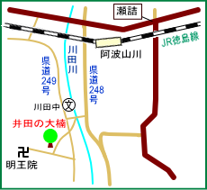 井田の大楠マップ