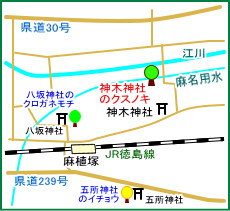 神木神社のクスノキ　マップ