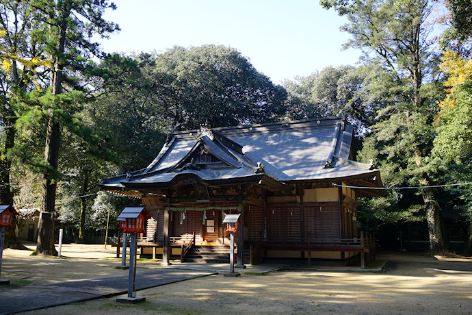 鴨神社拝殿と社叢