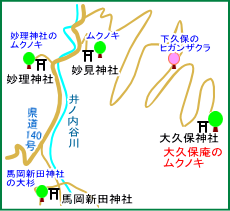 大久保庵のムクノキ　マップ