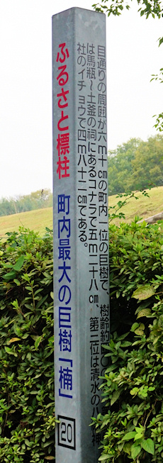 勢力神社の楠　標柱