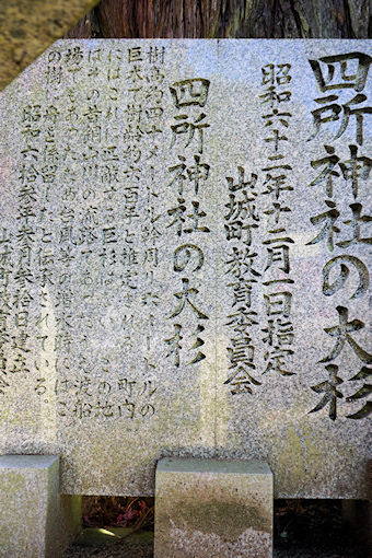 四所神社の大杉の石碑