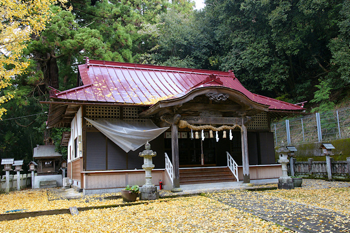 八柱神社社殿とスギ