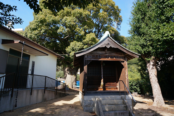 荒魂神社と当浜のクスノキ