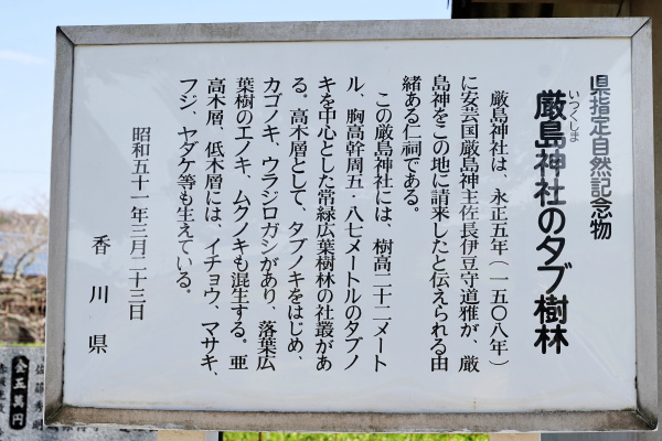 厳島神社のタブ樹林説明板