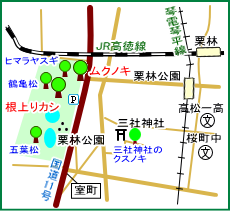 栗林公園の根上りカシ・ムクノキ マップ